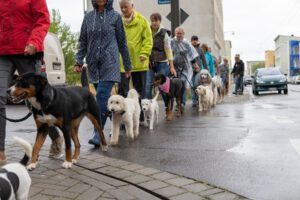 K1600_Lehrgang Cracau10