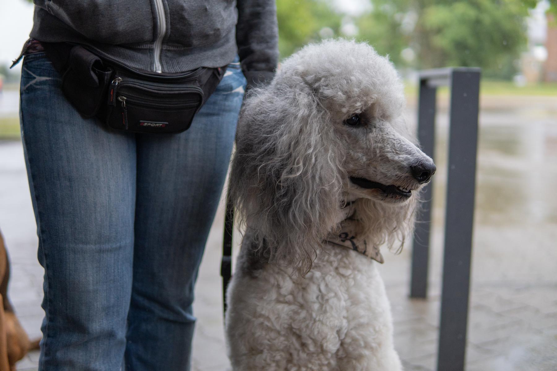 K1600_Lehrgang Cracau2