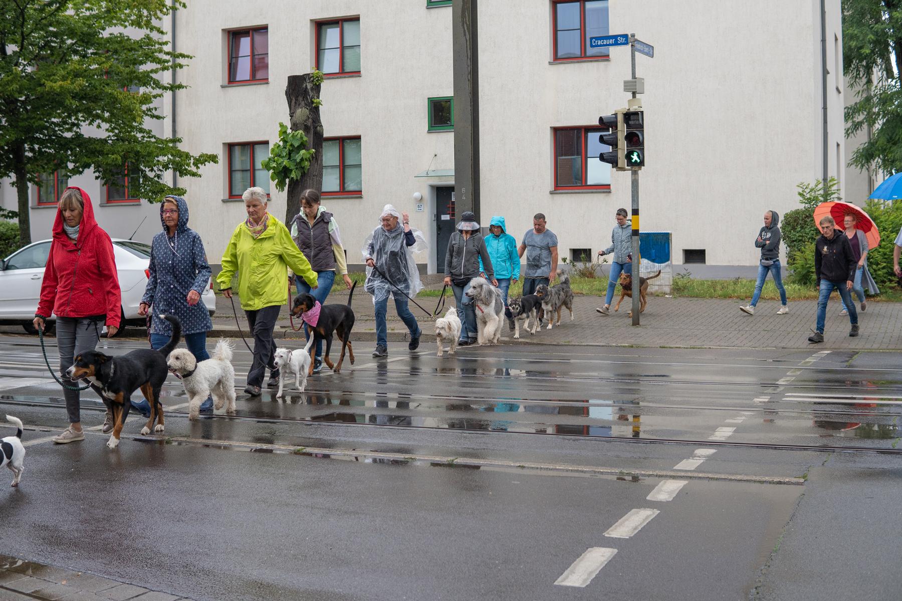 K1600_Lehrgang Cracau8