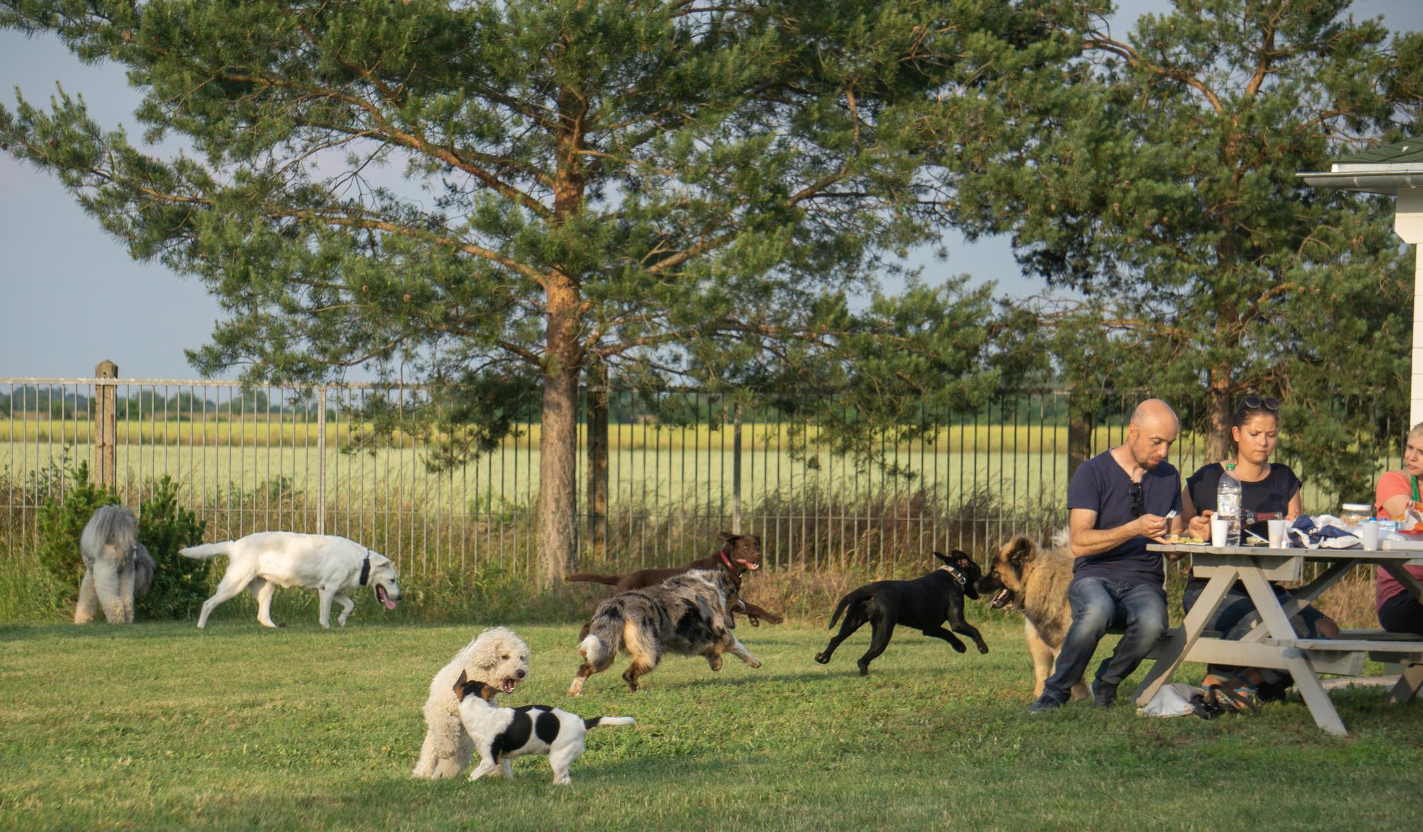 K1600_Lehrgang Puppendorf11