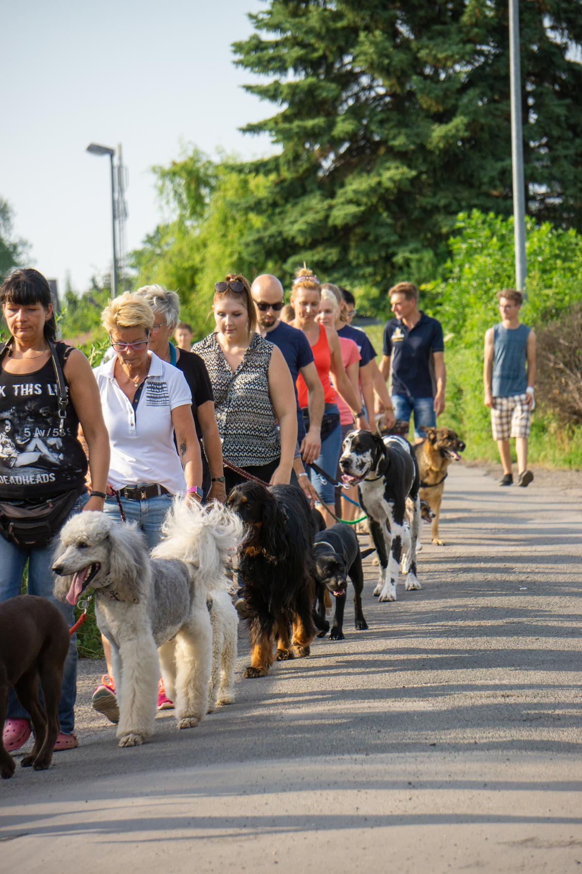 K1600_Lehrgang Puppendorf4