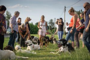 K1600_Lehrgang Puppendorf6