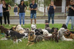 K1600_Lehrgang Puppendorf7