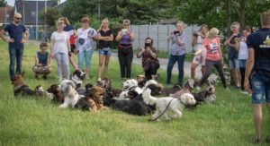 K1600_Lehrgang Puppendorf8