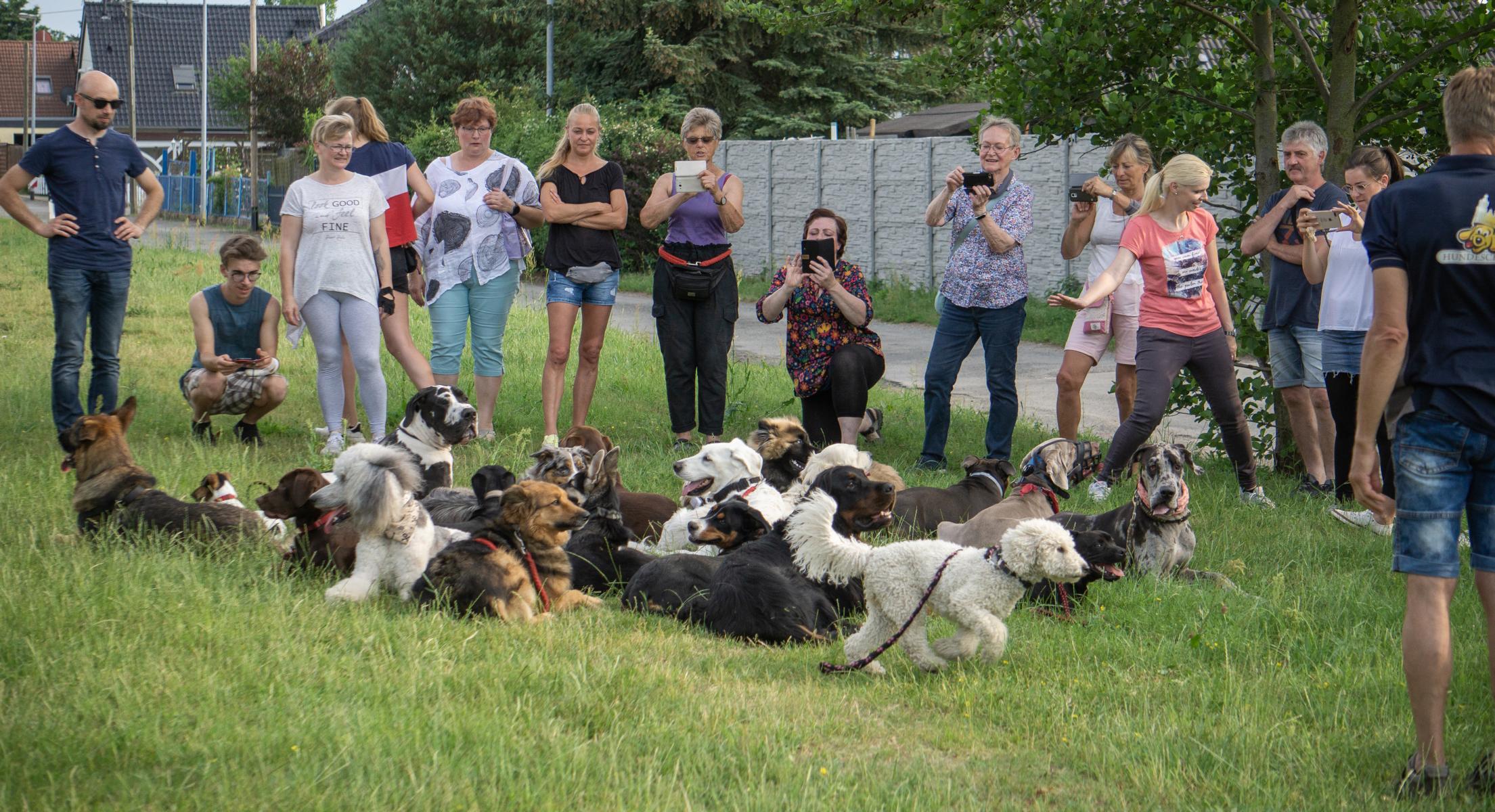 K1600_Lehrgang Puppendorf8