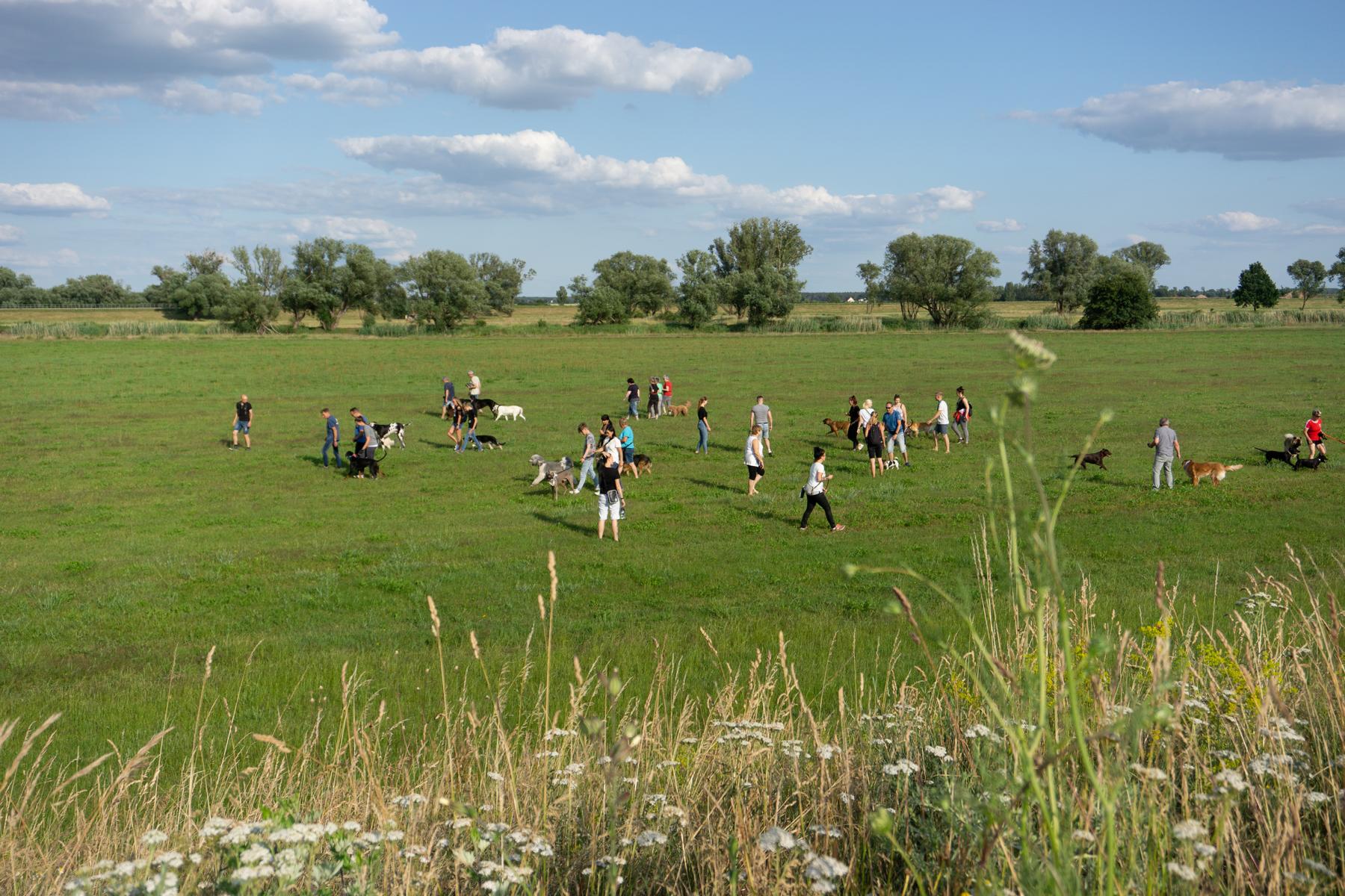 K1600_Spaziergang Ehle11