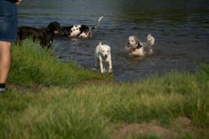 K1600_Spaziergang Ehle12