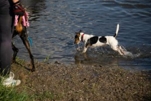 K1600_Spaziergang Ehle13