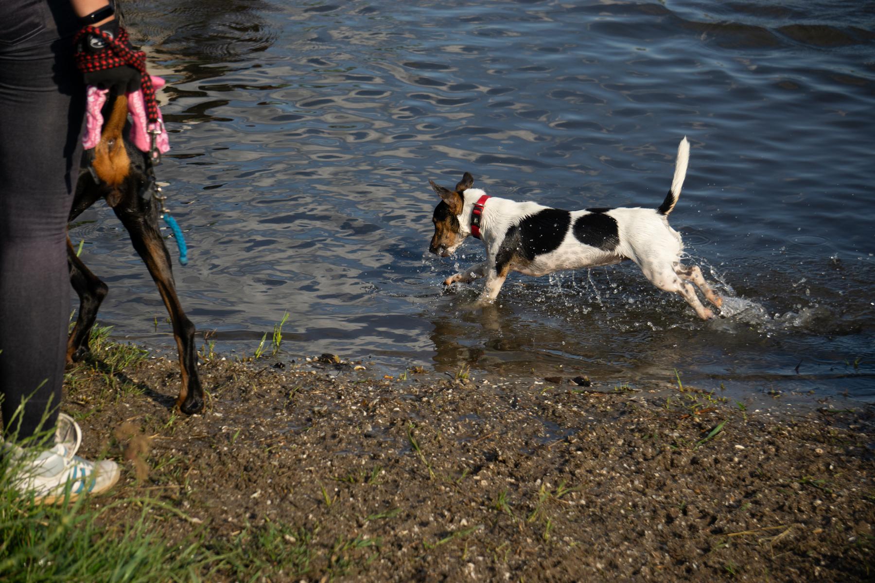 K1600_Spaziergang Ehle13