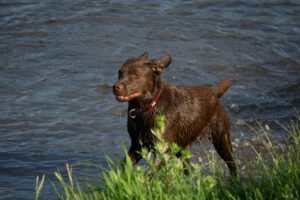 K1600_Spaziergang Ehle14