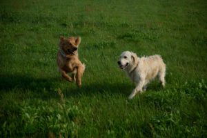 K1600_Spaziergang Ehle15