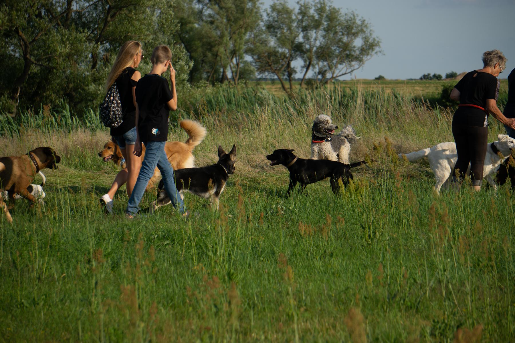 K1600_Spaziergang Ehle16