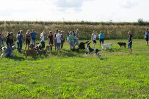 K1600_Spaziergang Ehle3