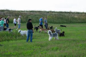 K1600_Spaziergang Ehle4