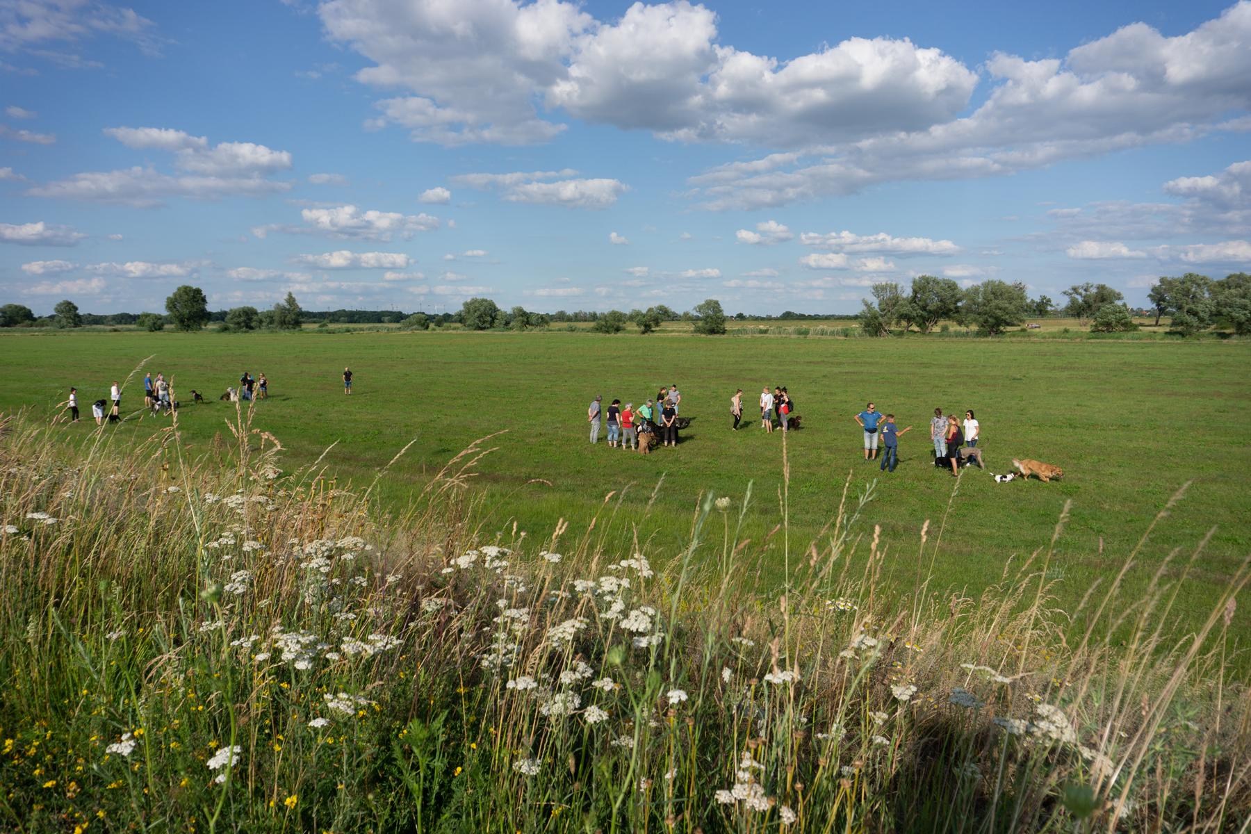K1600_Spaziergang Ehle5